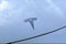 2024 Tesla Model 3 Base